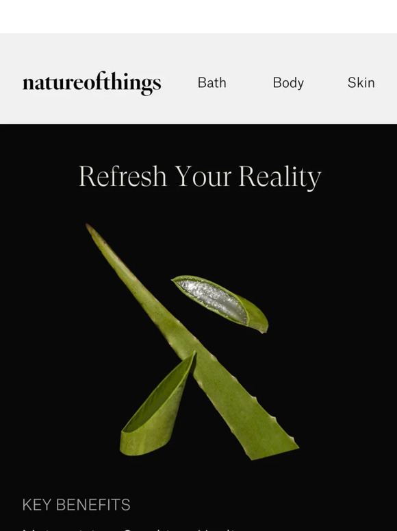 Refresh Your Reality