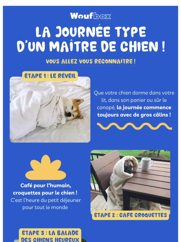 🐶📥 Ouvre vite ce mail !