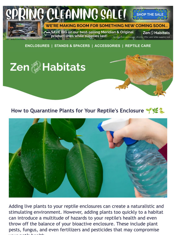 Zen Habitats How to Quarantine Plants for Your Reptile's Enclosure 🌱🌿🐍
