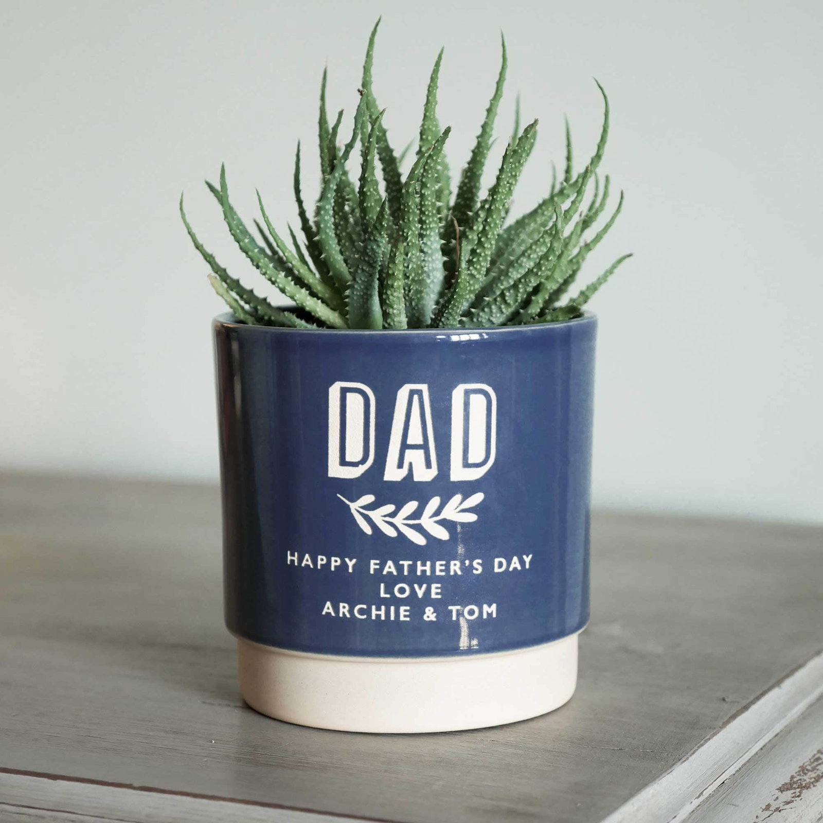 Image of Personalised Dads indoor plant pot