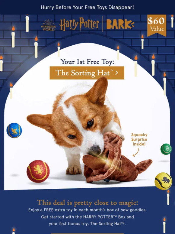 BarkBox: 🤭 your dog’s free HARRY POTTER™ toys are about to disappear ...