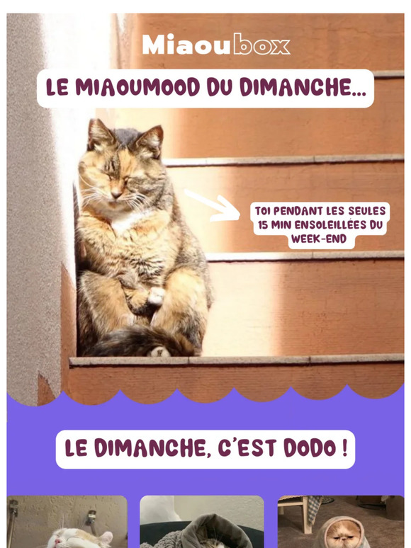 🥰 Le Miaoumood du dimanche