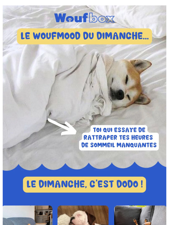 🥰 Le woufmood du dimanche