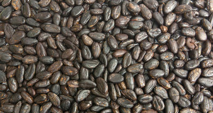 Cocoa beans mass