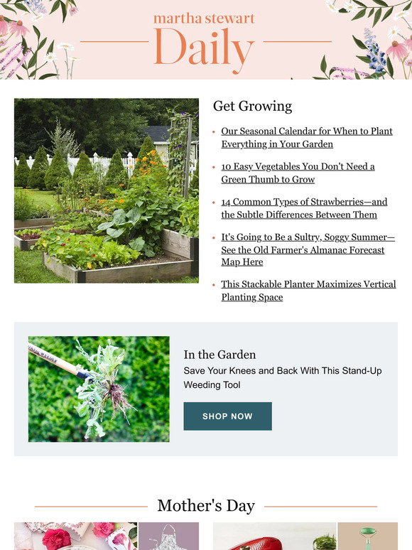Crisp Martha Stewart Planting Background Art Crisp Martha Stewart Planting Background Art