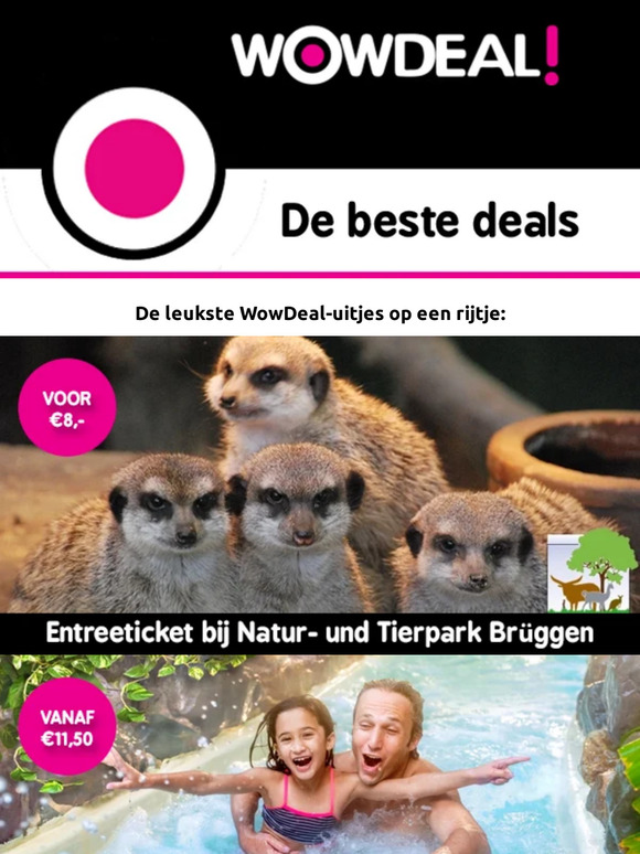 Vakantie-tips! 😎