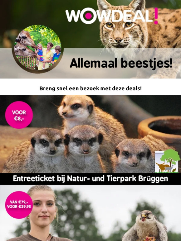 Dierentuin deze vakantie? ☀️🦒