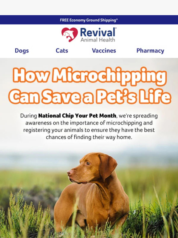 Are Your Dogs and Cats Protected?