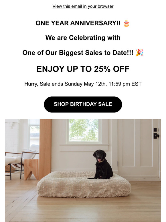 ONE YEAR ANNIVERSARY SALE 🎉 UP TO 25% OFF!