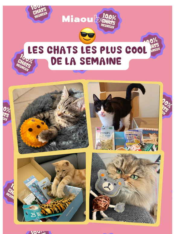 📆 Votre rendez-vous du dimanche