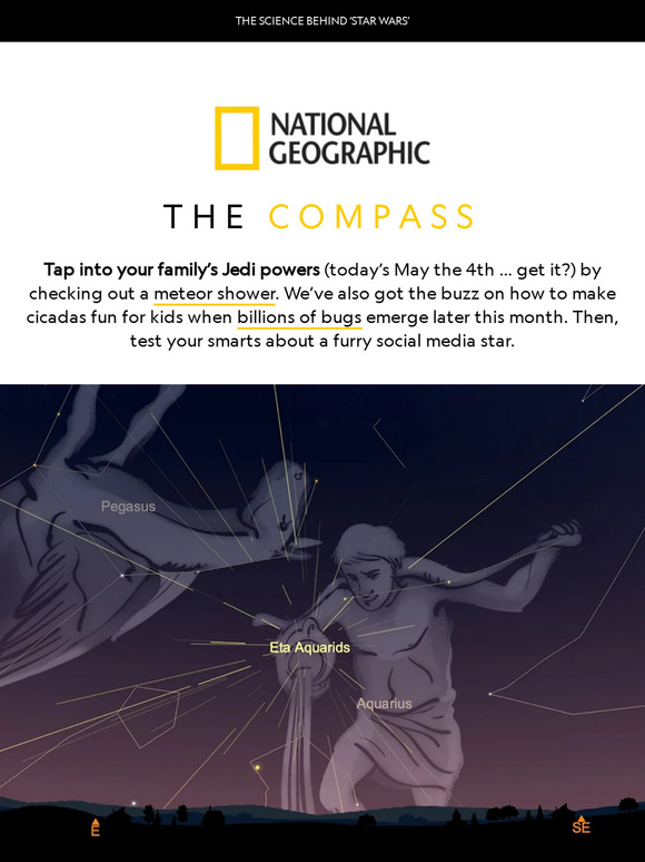 It's May the 4th (be with you!): Stargaze with your kids, make a telescope, and take a quiz ⭐️