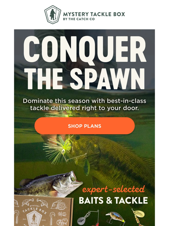 Ready, set, SPAWN!