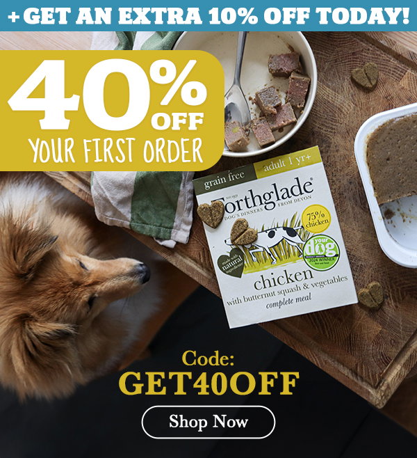 40% off your first order