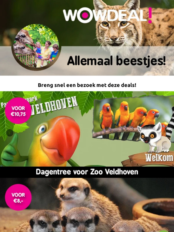 Welke dieren ga jij spotten? ☀️🦒