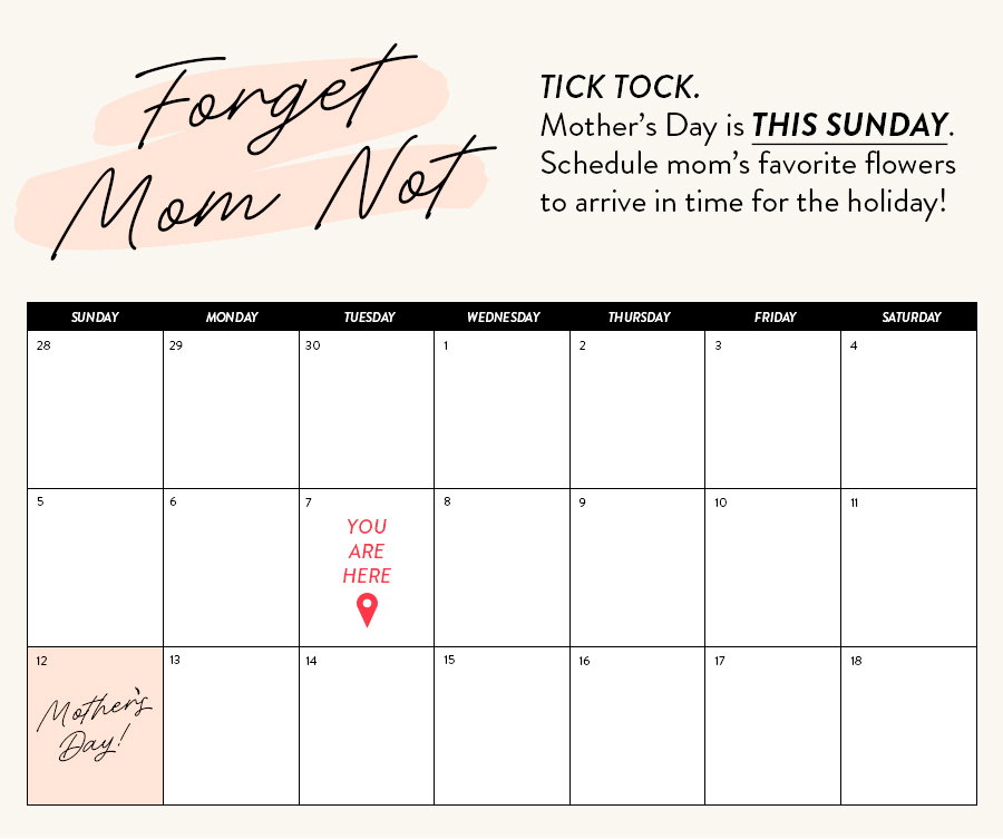 TICK TOCK: Mother's Day is THIS SUNDAY. Schedule mom's favortite flowers to arrive in time for the holiday!