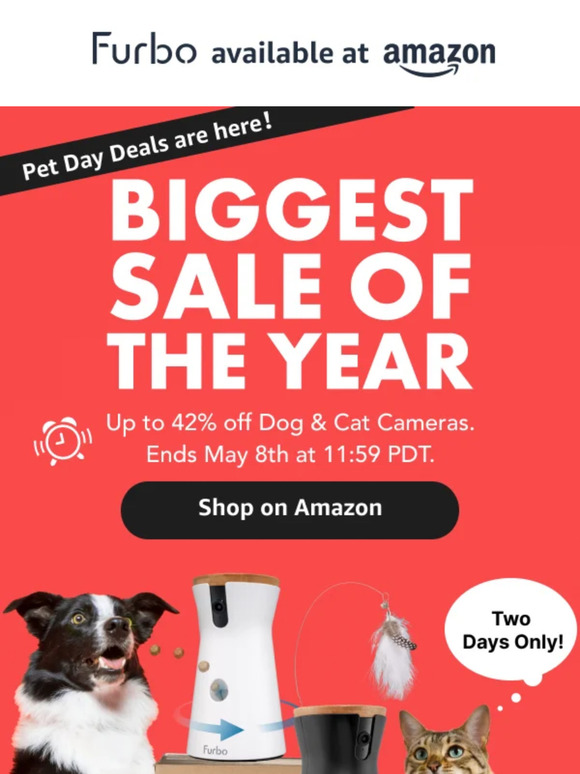 Amazon Exclusive 🤭 - TWO DAYS ONLY!