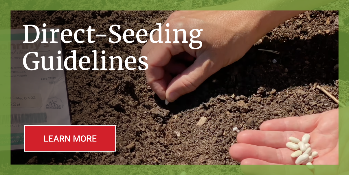 Guidelines Banner