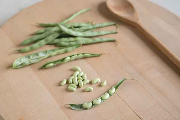 Beans Photo