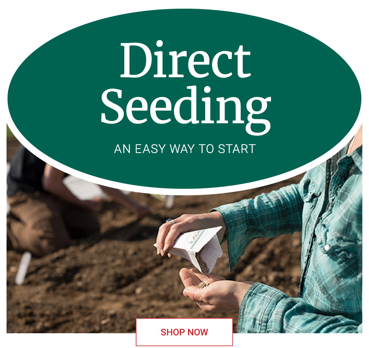 Direct Seeding Hero Banner