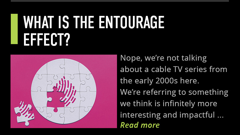 What is the entourage effect?