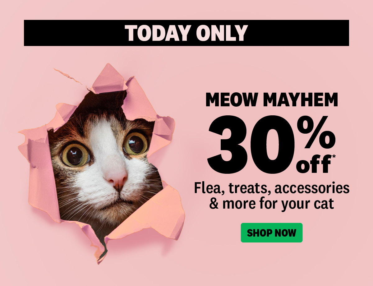Pet Direct NZ 30 OFF Cat Flea, Treats, Accessories & More MEOW You