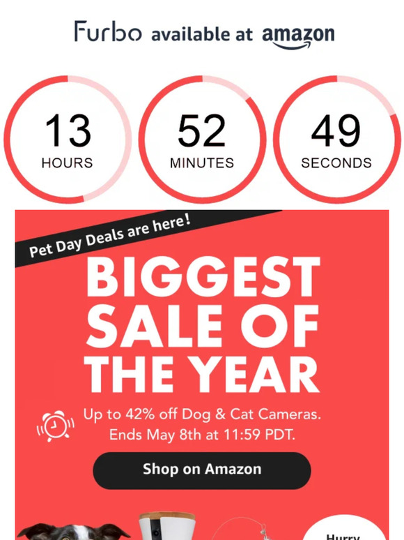 ⏰ Pet Day Savings - Ends TODAY!