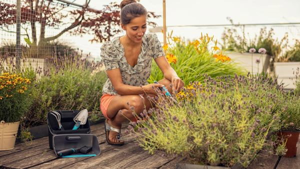 So klappt‘s mit dem eigenen Kräutergarten auf dem Balkon