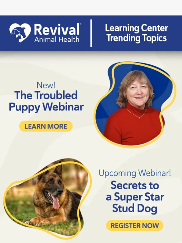 🆕The Troubled Puppy Webinar Available Now! How to help a struggling pup.