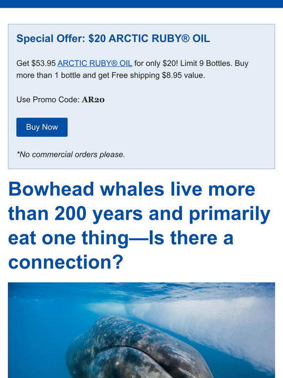 Immunocorp: $20 Arctic Ruby® Oil—Today Only | Milled