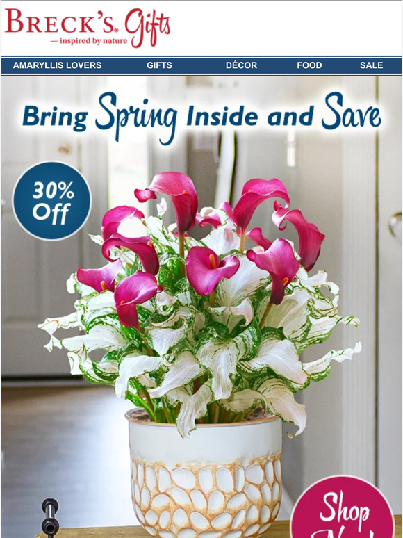 Breck's Gifts Save 30 on Frozen Queen Milled