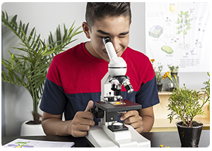 Build excitement with hands-on teaching materials