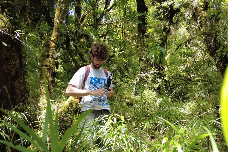 Researcher Giacomo Delgado in a Costa Rican forest. Image links to article.