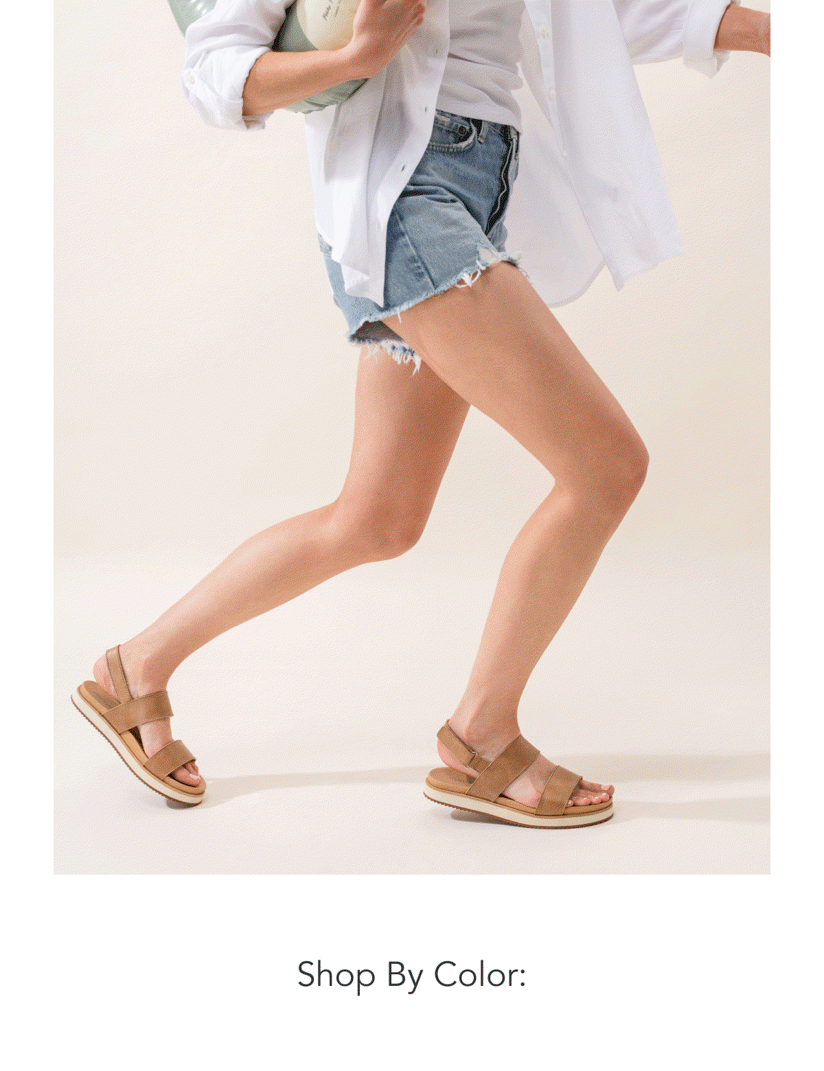 Shop By Color: