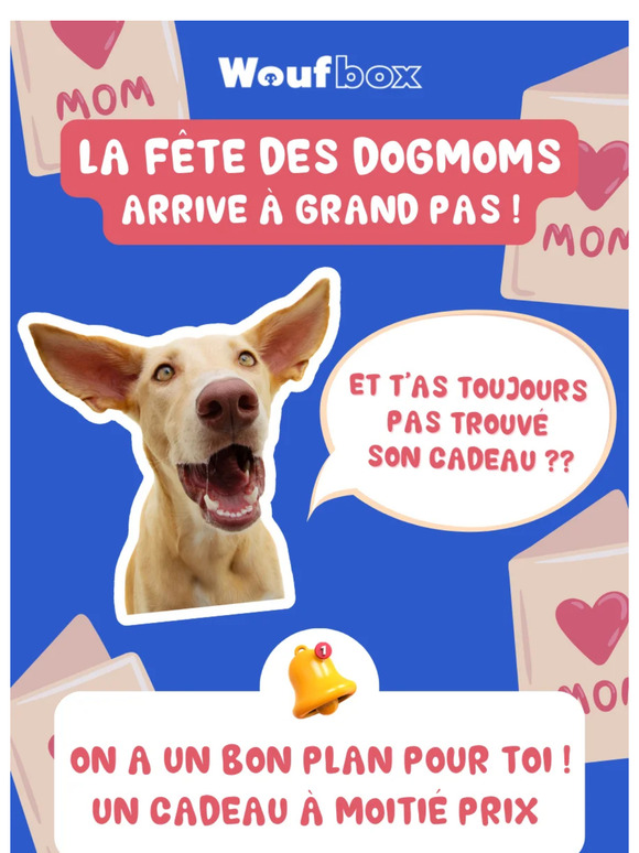 📨 Transfère ce mail à un Dogdad