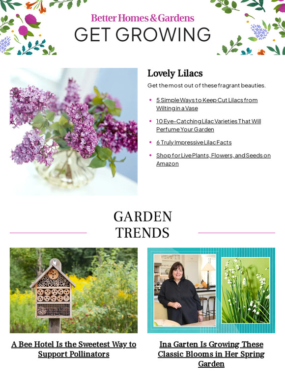 Better Homes and Gardens 5 Simple Ways to Keep Cut Lilacs from Wilting