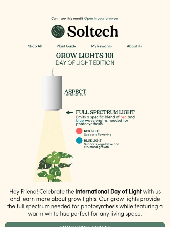 Celebrate International Light Day with Us! 💡🌱