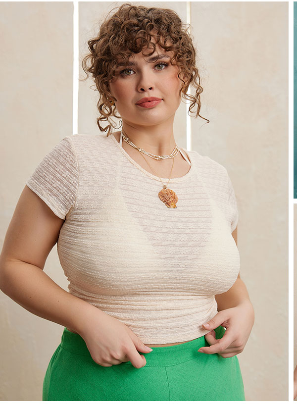 Shop  The Top