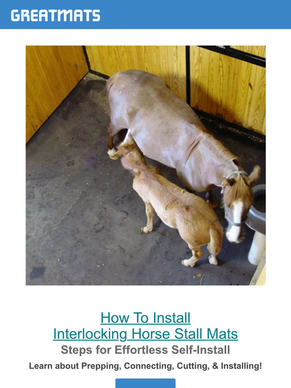 Great Mats Your Guide to Installing Horse Stall Mats🔧 Milled