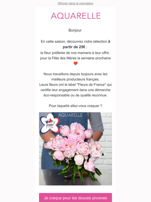 Pivoines dès 25€ : Faites plaisir à vos mamans