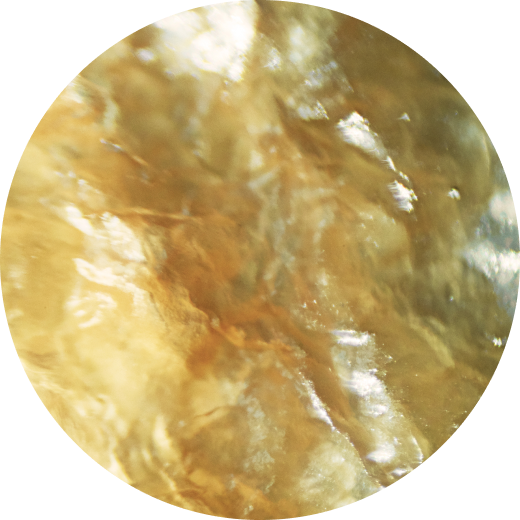 Sankrit Saponins (SS)
