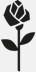 Schwarze Rose
