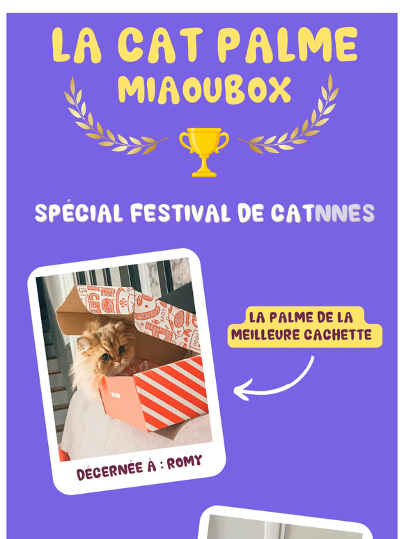 🏆 Le festival de Ca(t)nnes