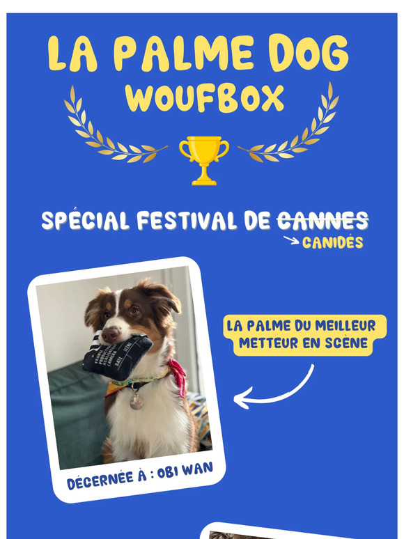 🏆 La palme dog