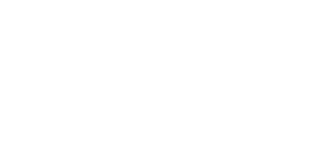 LOGO SWISS ALPINE MILITARY