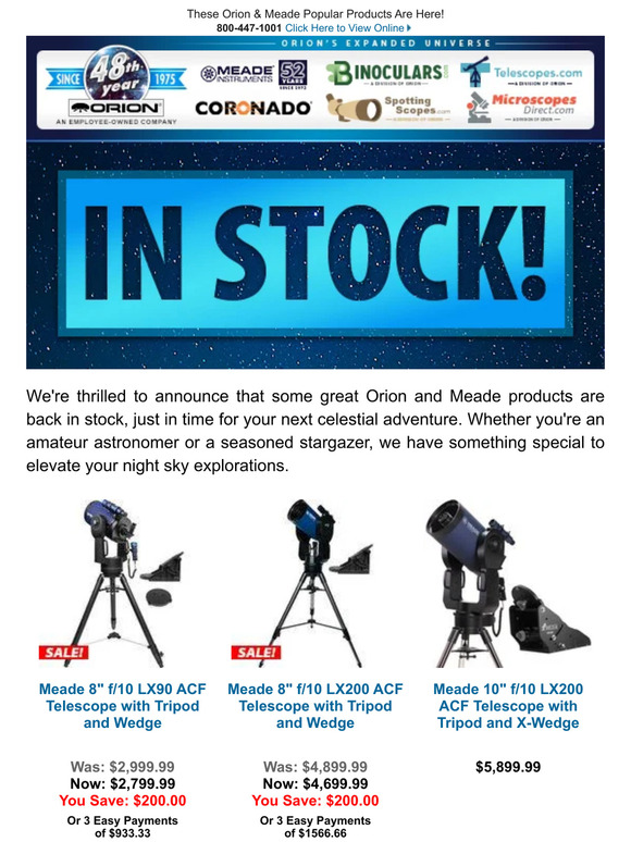 Discover the Stars with In Stock Favorites