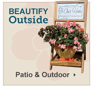 Shop Patio + Outdoor