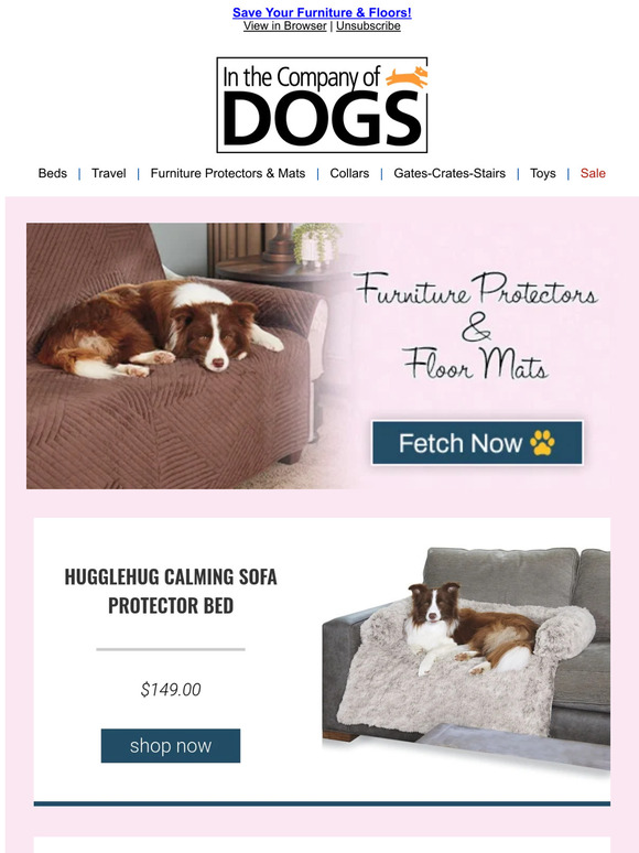 In The Company of Dogs We've Got You Covered…And Your Furniture, Too