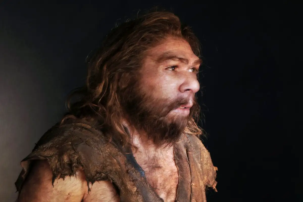 Oldest known human viruses found hidden within Neanderthal bones. Image leads to article.