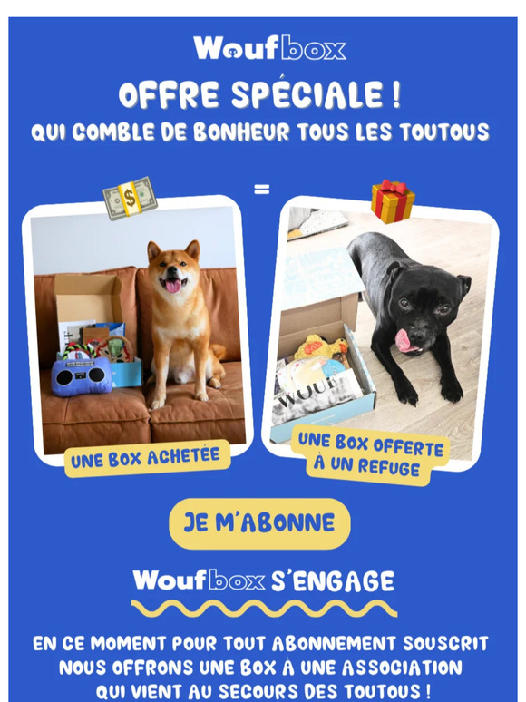 Gâtez des chiens dans le besoin ! 🐶