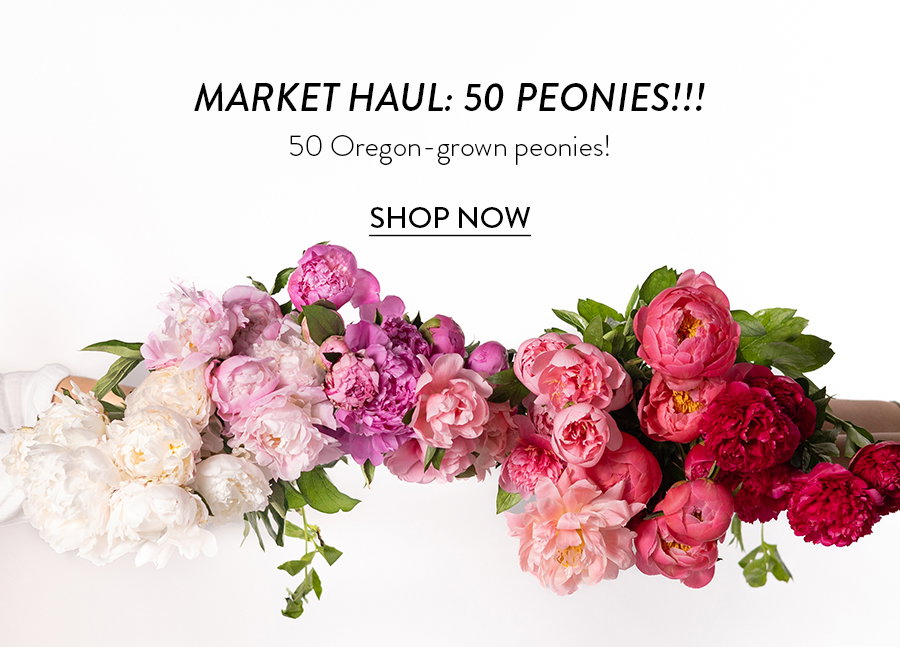 MARKET HAUL: 50 PEONIES!!!  50 Oregon-grown peonies!  SHOP NOW
